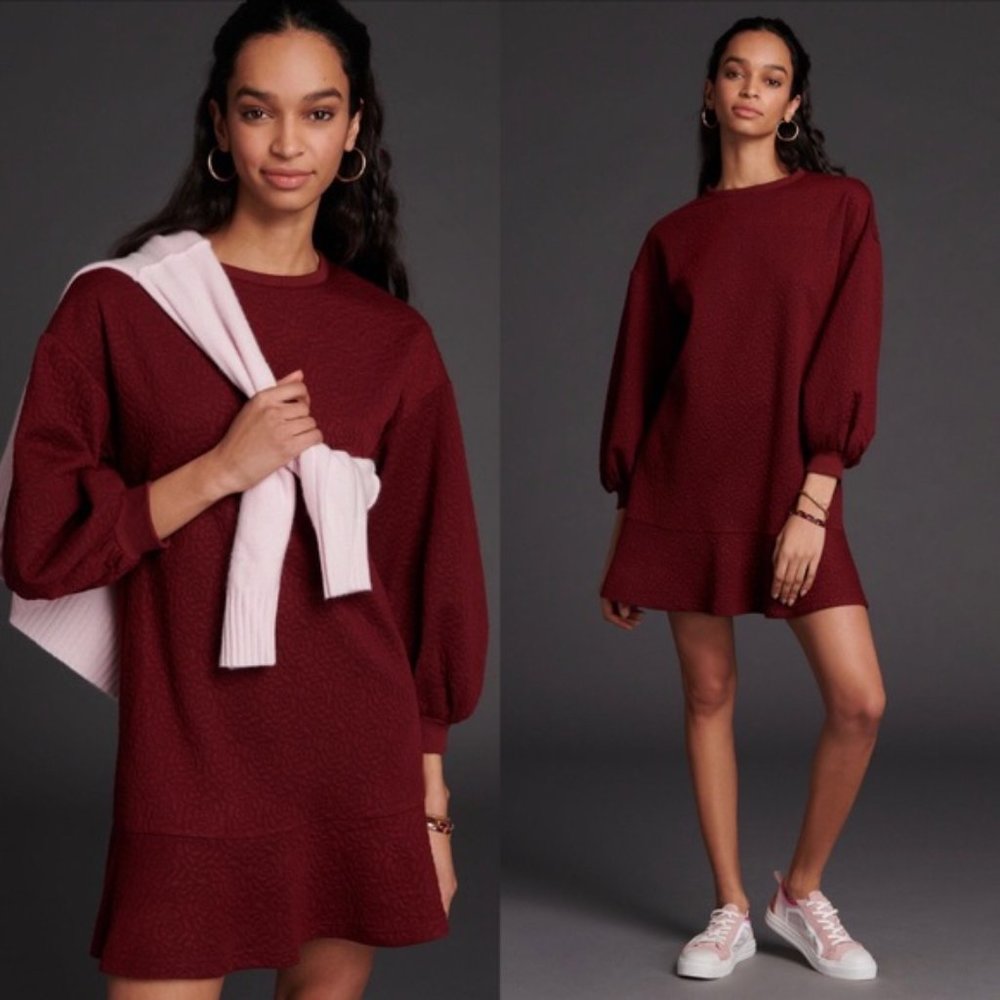 Anthropologie Burgundy Mini Dress
